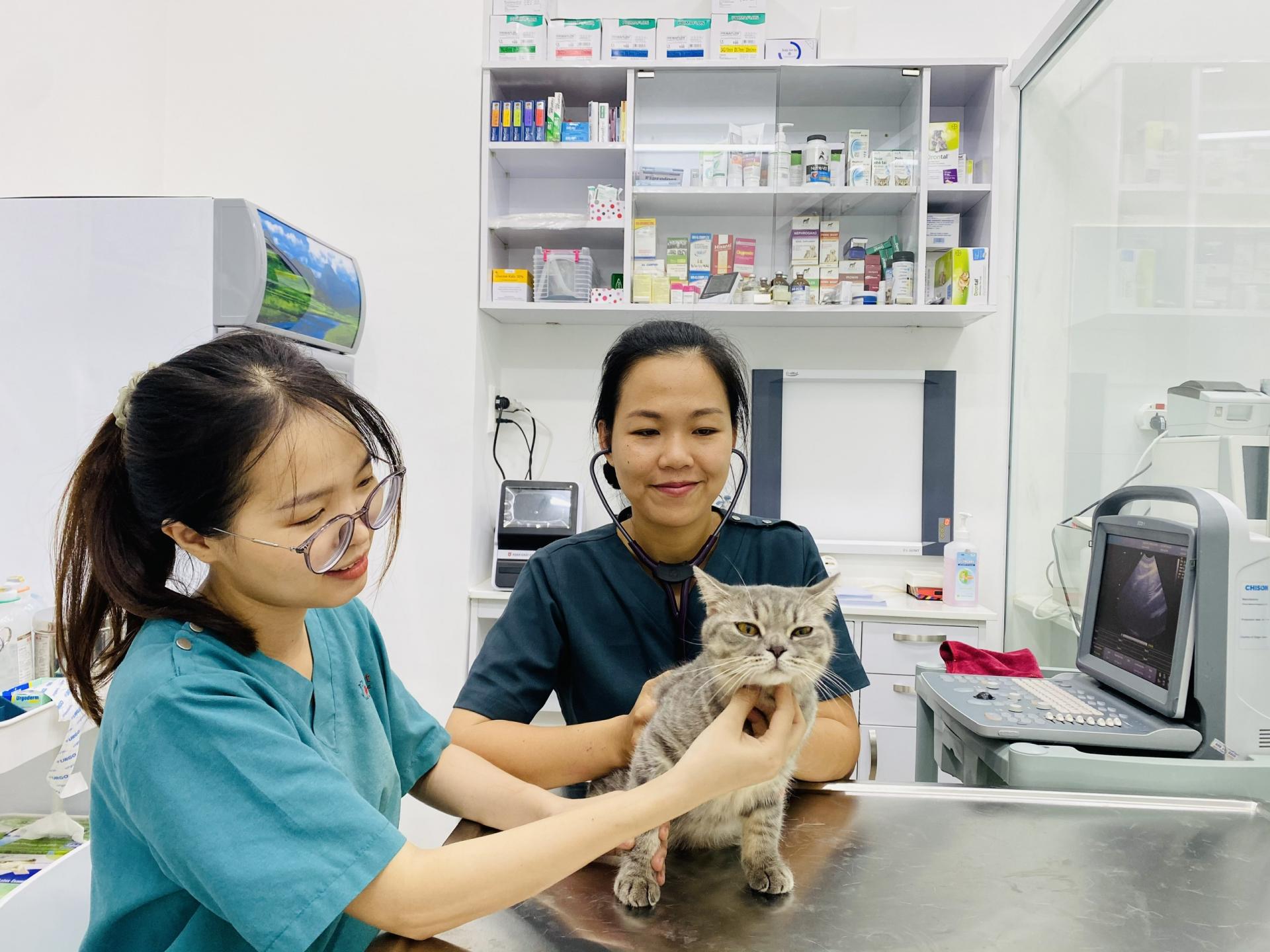 TrustVet Animal Hospital